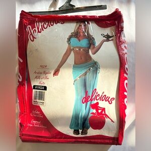 Delicious Teal and Gold Arabian Nights Costume Set size M/L